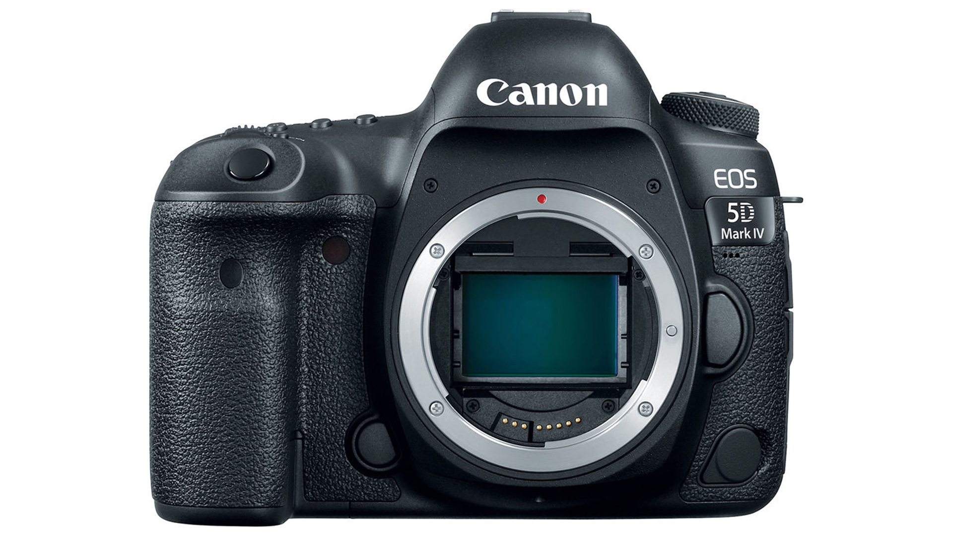 Best Canon DSLR Camera: Canon EOS 5D Mark IV