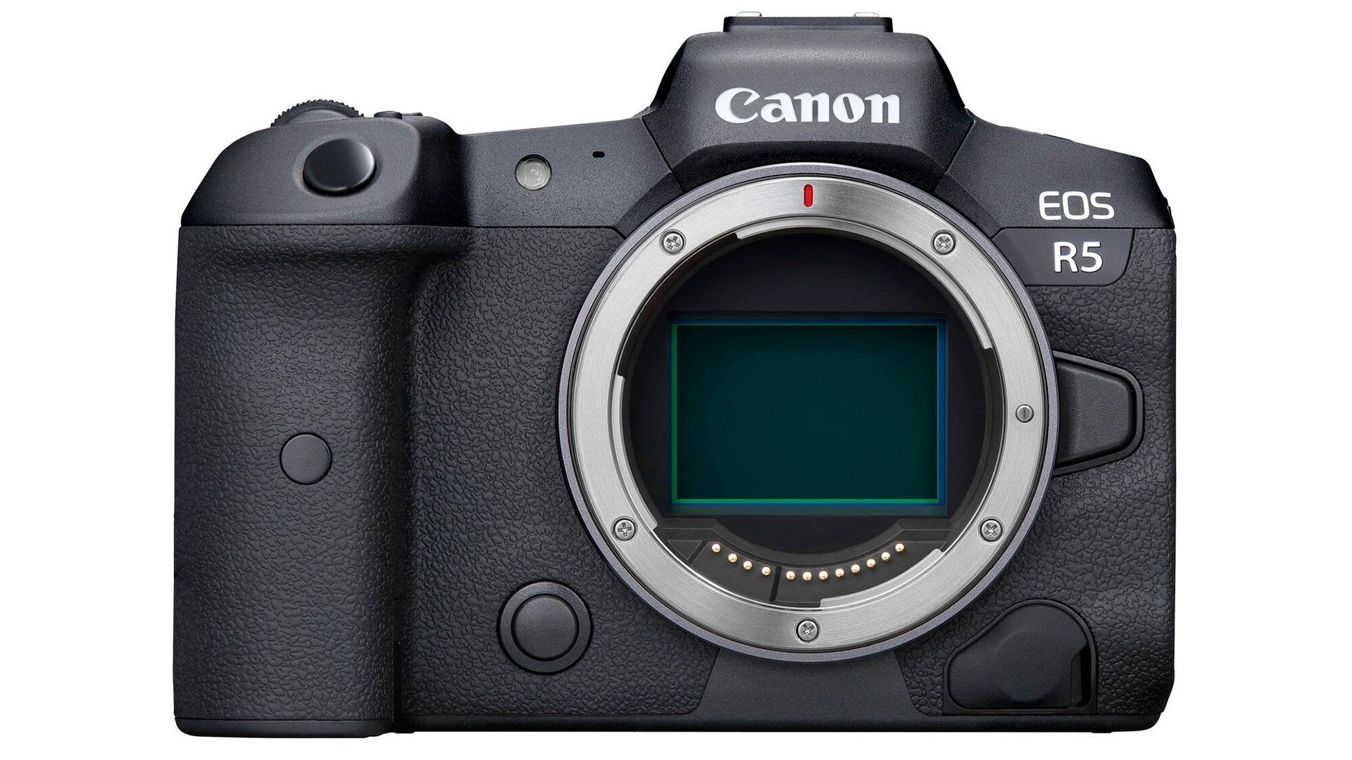 Best Canon camera: Canon EOS R5