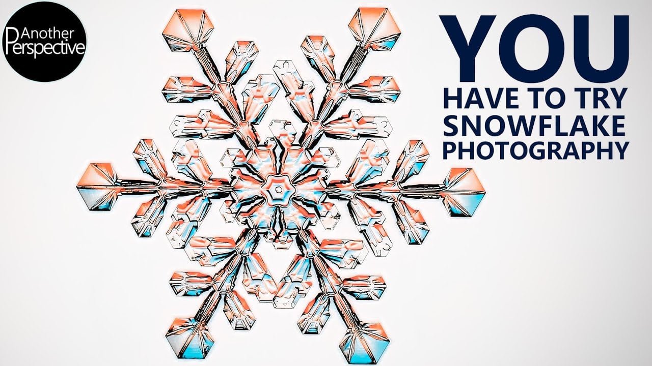Watch this beautiful timelapse about how snowflakes form